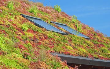 Watford Gap living roof systems